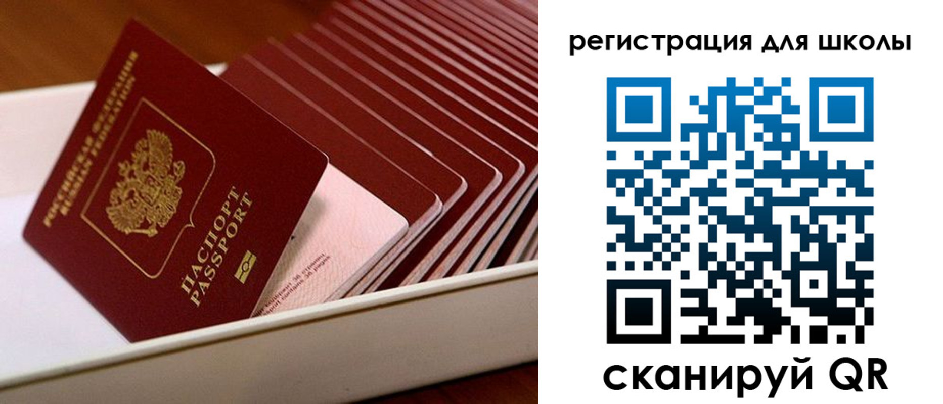 прописка гарантия в Шумерле